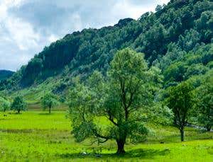 New Scientist. Science news and long reads from expert journalists, covering developments in science, technology, health and the environment on the website and the magazine.