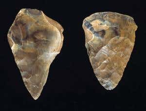 New Scientist. Science news and long reads from expert journalists, covering developments in science, technology, health and the environment on the website and the magazine.