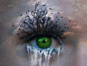 Reality: The definition