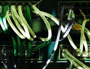 Reality: A universe of information