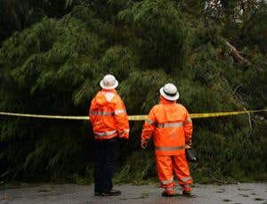 Reality: How does consciousness fit in?