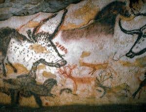 Cosmic rays: Learning about life