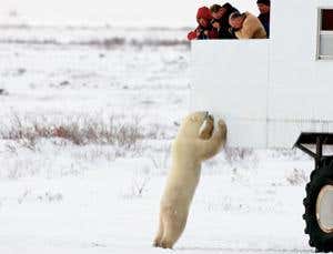 New Scientist. Science news and long reads from expert journalists, covering developments in science, technology, health and the environment on the website and the magazine.