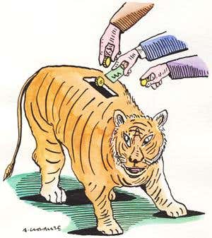 Endangered animals caught in the tourist trap