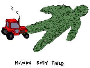 Feedback: In fruitloopery's house are many mansions