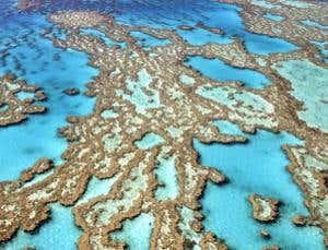 The best environmental jobs in the world