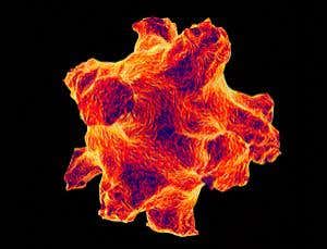 New Scientist. Science news and long reads from expert journalists, covering developments in science, technology, health and the environment on the website and the magazine.