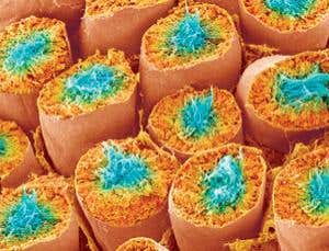 New Scientist. Science news and long reads from expert journalists, covering developments in science, technology, health and the environment on the website and the magazine.