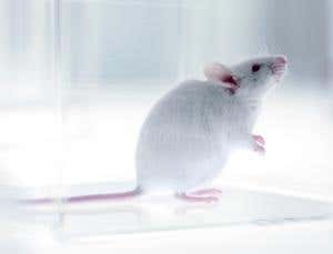 New Scientist. Science news and long reads from expert journalists, covering developments in science, technology, health and the environment on the website and the magazine.