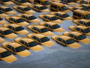 New Scientist. Science news and long reads from expert journalists, covering developments in science, technology, health and the environment on the website and the magazine.