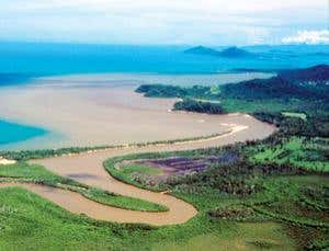 New Scientist. Science news and long reads from expert journalists, covering developments in science, technology, health and the environment on the website and the magazine.