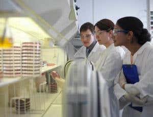 Spirit of collaboration