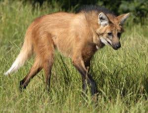New Scientist. Science news and long reads from expert journalists, covering developments in science, technology, health and the environment on the website and the magazine.