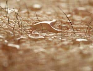 New Scientist. Science news and long reads from expert journalists, covering developments in science, technology, health and the environment on the website and the magazine.