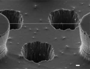 A tightrope of DNA between two silicon nanopillars