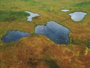 New Scientist. Science news and long reads from expert journalists, covering developments in science, technology, health and the environment on the website and the magazine.