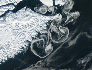 New Scientist. Science news and long reads from expert journalists, covering developments in science, technology, health and the environment on the website and the magazine.