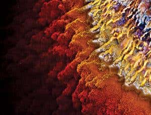 New Scientist. Science news and long reads from expert journalists, covering developments in science, technology, health and the environment on the website and the magazine.