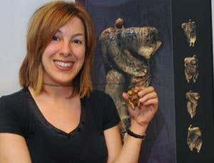 'Palaeo-porn': we've got it all wrong