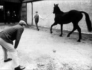 New Scientist. Science news and long reads from expert journalists, covering developments in science, technology, health and the environment on the website and the magazine.