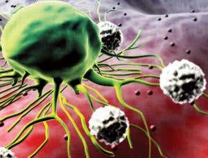 New Scientist. Science news and long reads from expert journalists, covering developments in science, technology, health and the environment on the website and the magazine.