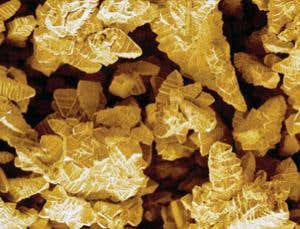 New Scientist. Science news and long reads from expert journalists, covering developments in science, technology, health and the environment on the website and the magazine.