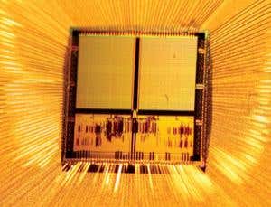 New Scientist. Science news and long reads from expert journalists, covering developments in science, technology, health and the environment on the website and the magazine.