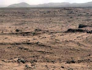 New Scientist. Science news and long reads from expert journalists, covering developments in science, technology, health and the environment on the website and the magazine.