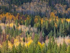 New Scientist. Science news and long reads from expert journalists, covering developments in science, technology, health and the environment on the website and the magazine.