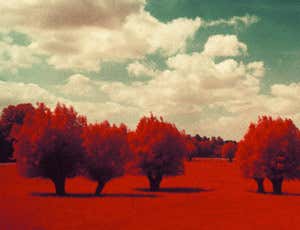 New Scientist. Science news and long reads from expert journalists, covering developments in science, technology, health and the environment on the website and the magazine.