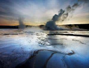 2012 review: The year in life science