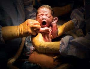 2012 review: The year in health science