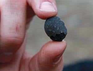 New Scientist. Science news and long reads from expert journalists, covering developments in science, technology, health and the environment on the website and the magazine.