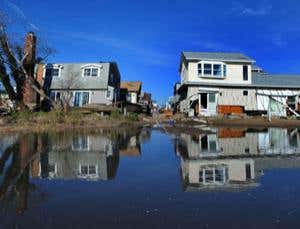 2012 review: The year in environment