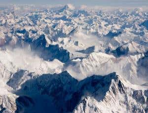 Himalayan dam-building threatens endemic species