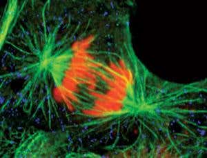 New Scientist. Science news and long reads from expert journalists, covering developments in science, technology, health and the environment on the website and the magazine.