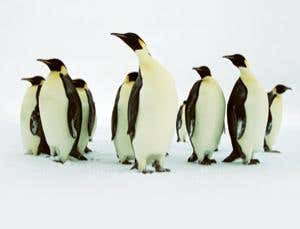 New Scientist. Science news and long reads from expert journalists, covering developments in science, technology, health and the environment on the website and the magazine.