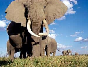 New Scientist. Science news and long reads from expert journalists, covering developments in science, technology, health and the environment on the website and the magazine.