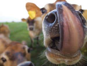 New Scientist. Science news and long reads from expert journalists, covering developments in science, technology, health and the environment on the website and the magazine.