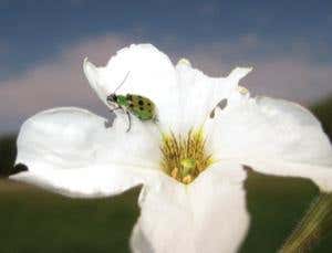 New Scientist. Science news and long reads from expert journalists, covering developments in science, technology, health and the environment on the website and the magazine.