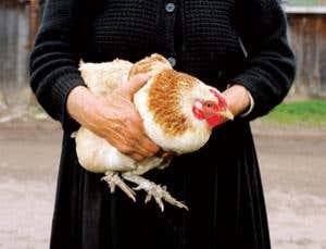 New Scientist. Science news and long reads from expert journalists, covering developments in science, technology, health and the environment on the website and the magazine.