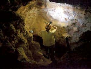 New Scientist. Science news and long reads from expert journalists, covering developments in science, technology, health and the environment on the website and the magazine.