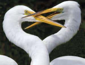 New Scientist. Science news and long reads from expert journalists, covering developments in science, technology, health and the environment on the website and the magazine.