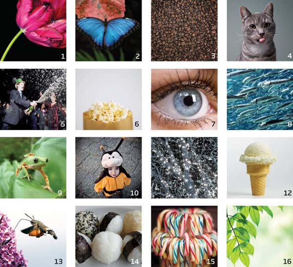 New Scientist. Science news and long reads from expert journalists, covering developments in science, technology, health and the environment on the website and the magazine.