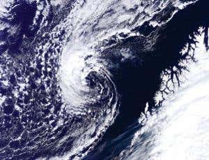 New Scientist. Science news and long reads from expert journalists, covering developments in science, technology, health and the environment on the website and the magazine.