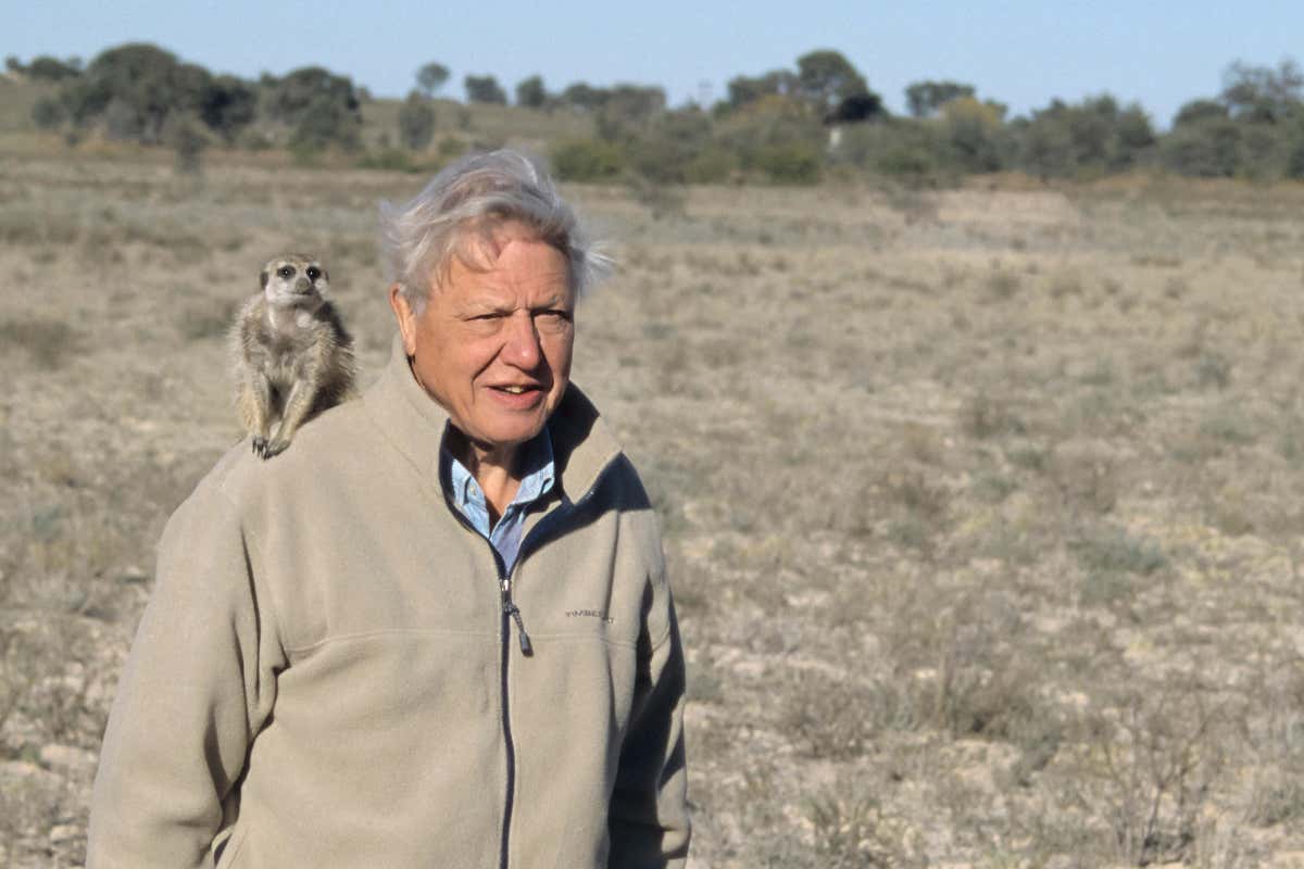 David Attenborough