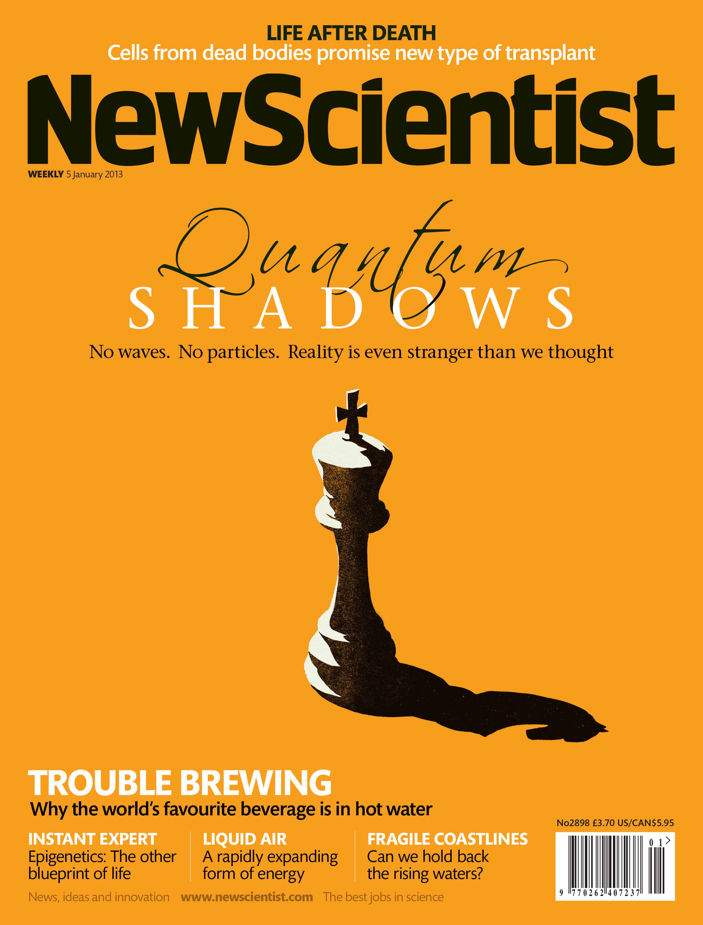 New Scientist issue 2898 cover