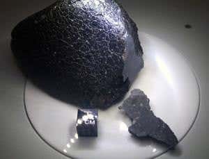 New Scientist. Science news and long reads from expert journalists, covering developments in science, technology, health and the environment on the website and the magazine.