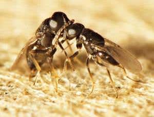 New Scientist. Science news and long reads from expert journalists, covering developments in science, technology, health and the environment on the website and the magazine.