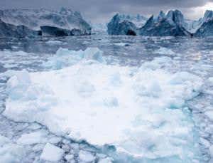 New Scientist. Science news and long reads from expert journalists, covering developments in science, technology, health and the environment on the website and the magazine.